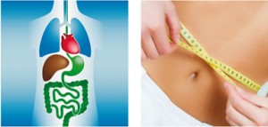 Gesund und Aktiv